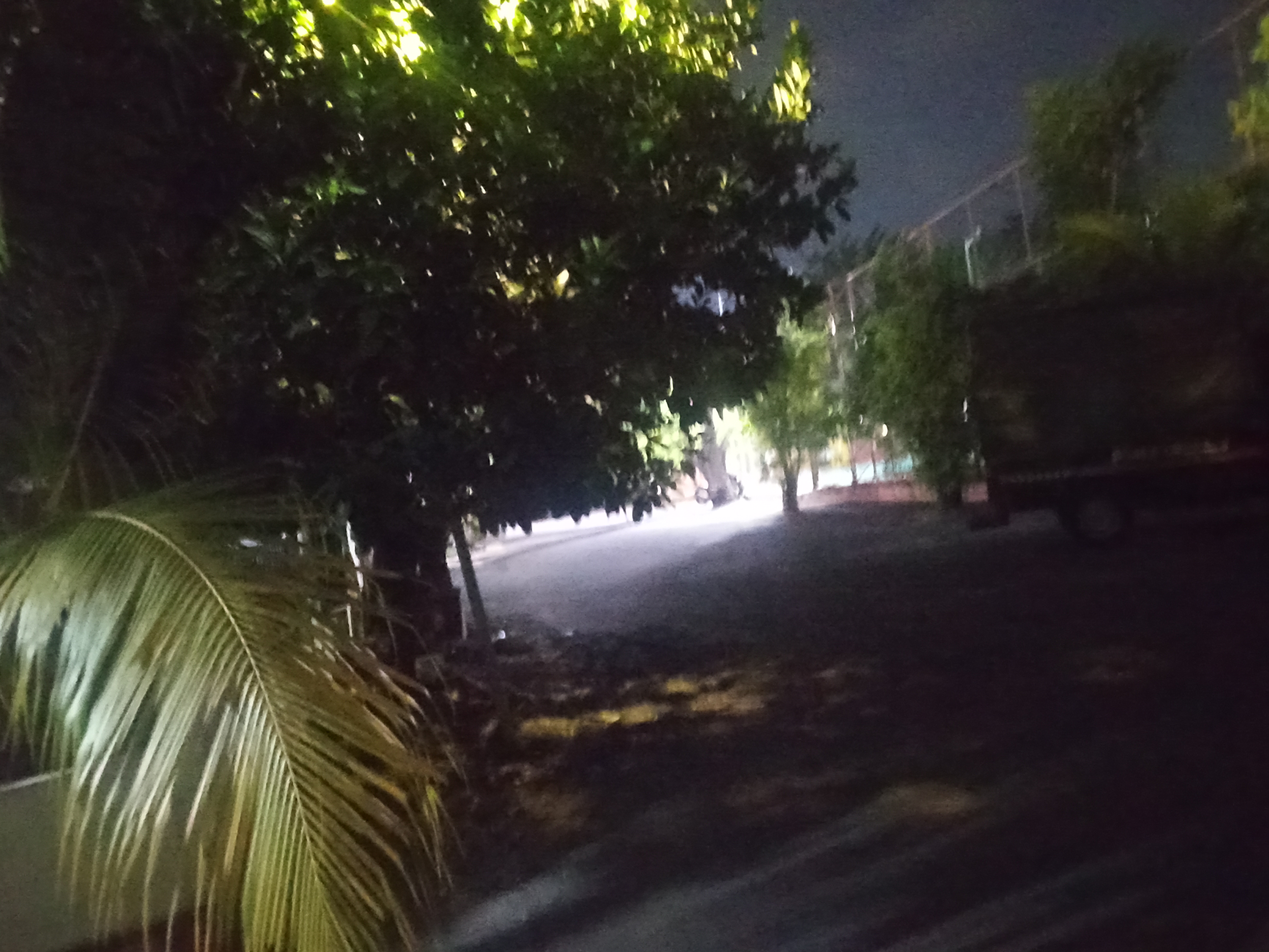 PJU terhalang oleh pohon